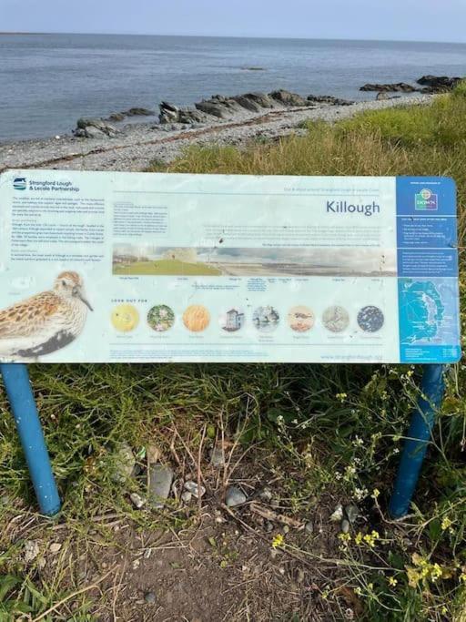 Mourne View Villa Killough Esterno foto